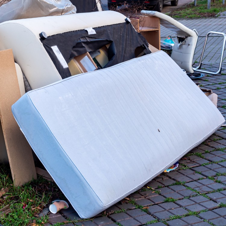 Disposal services in Raleigh, N Disposal services in Raleigh, N