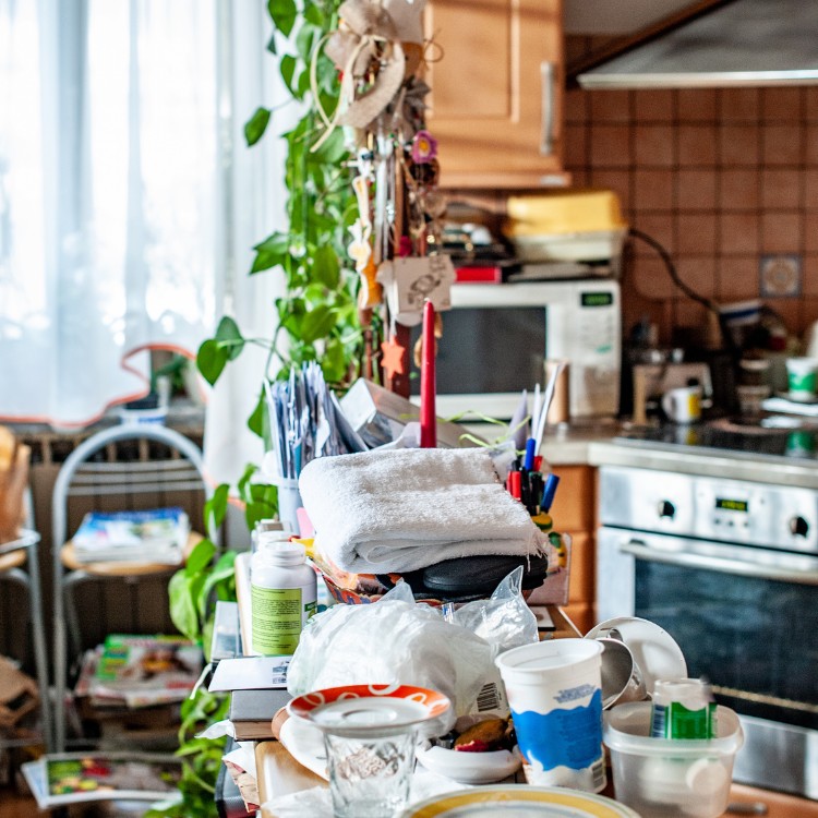 Disposal services in Raleigh, N